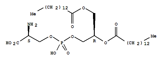 二肉豆蔻?；?L-alpha-磷脂酰-L-絲氨酸
