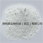 加蘭他敏外觀白色粉末